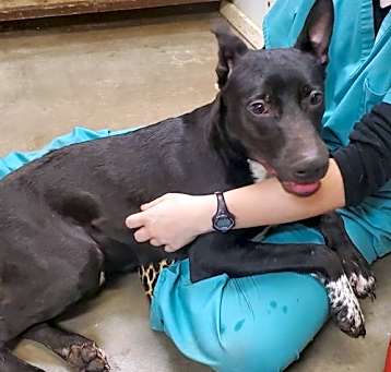 Photo of Jasper
