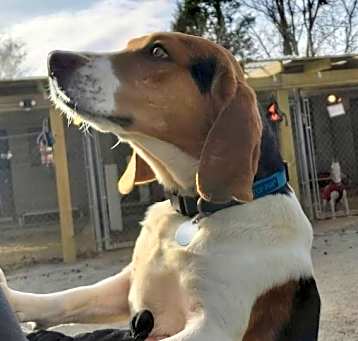 Photo of Murphy