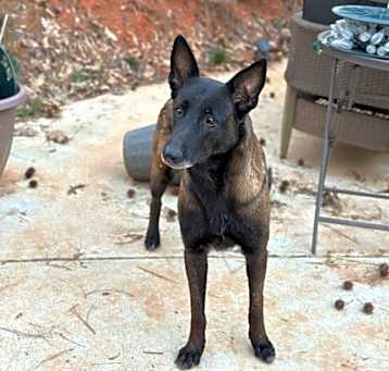 Photo of Mocha