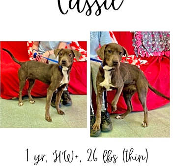 Photo of Cassie
