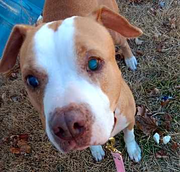 Photo of Wilma (NJ) Very Sweet!