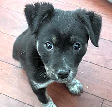 Photo of Ladybug