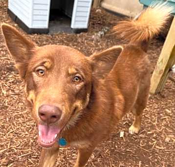 Photo of Tucker