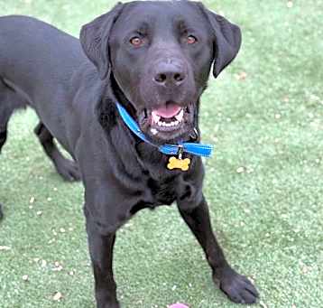 Photo of Max