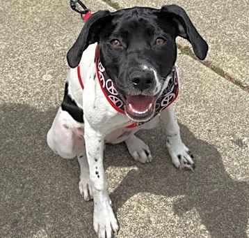 Photo of Annie