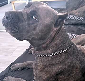 Photo of Zeus