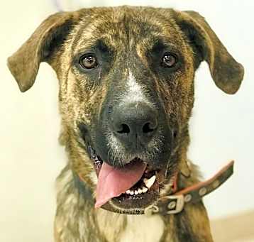 Photo of Jack