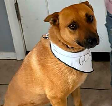 Photo of MAX