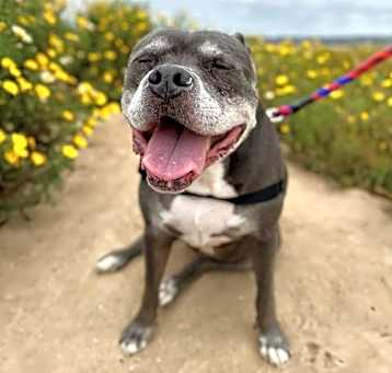 Photo of Roxi