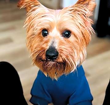 Photo of Rocky is very sweet!