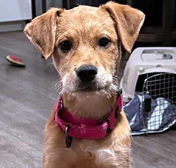 Photo of Jasmine