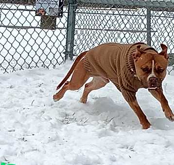 Photo of Zoom