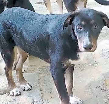 Photo of Argus