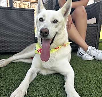 Photo of Remington