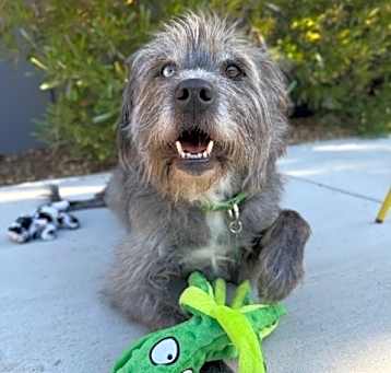 Photo of Gigi