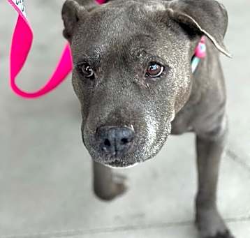 Photo of Mystic