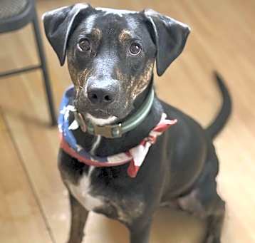 Photo of Sheldon in CT