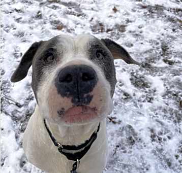 Photo of Hazel