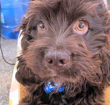 Photo of Walter