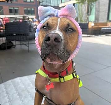 Photo of Maisey
