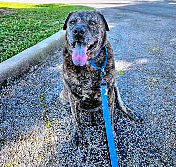 Photo of Chuck
