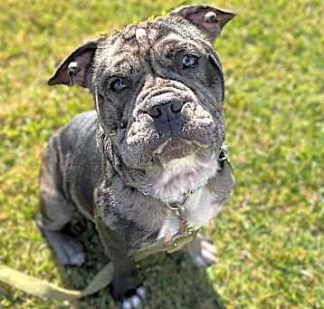 Photo of STICH