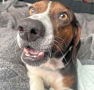 Photo of BUSTER