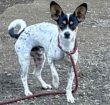 Photo of Sonny