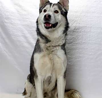Photo of *KANOOK