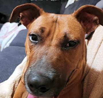 Photo of Kiva