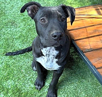 Photo of Jet