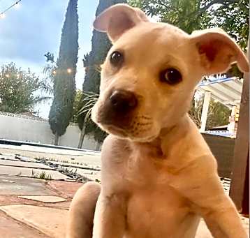 Photo of Casper