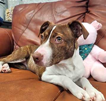 Photo of Sally - 25041