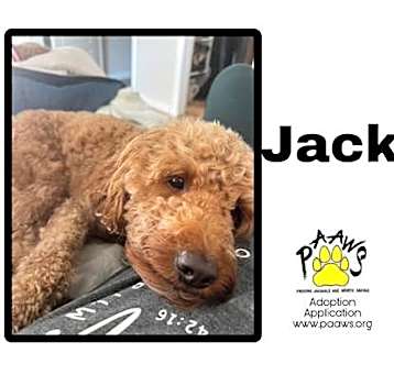 Photo of Jack