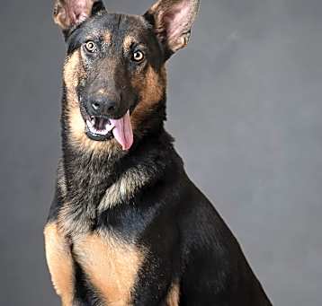 Photo of Griswold