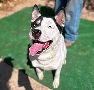 Photo of PATCH