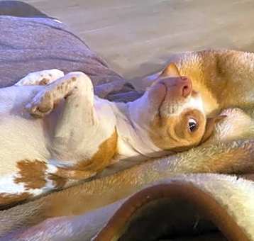 Photo of Hazel
