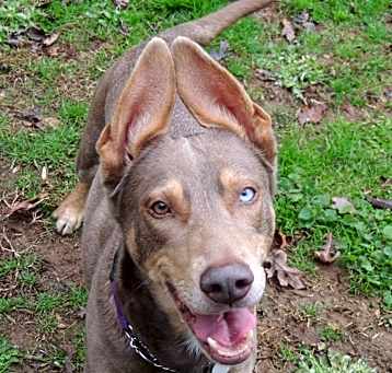 Photo of Honey