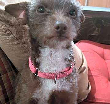 Photo of Ethel (watch both videos)