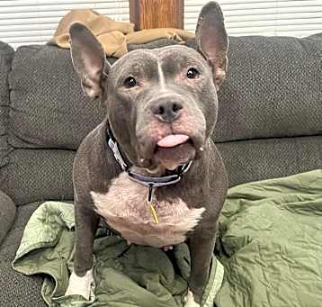 Photo of Dorothy
