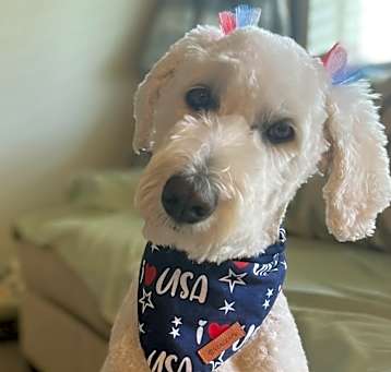 Photo of Roxie