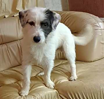 Photo of Silver