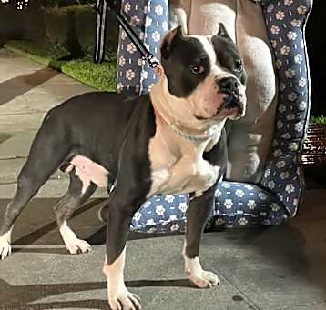 Photo of Churro