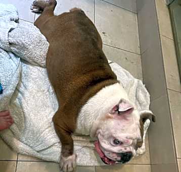 Photo of poncho