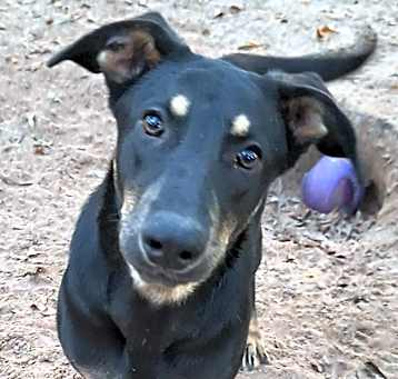 Photo of Sheila