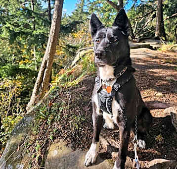 Photo of Luna