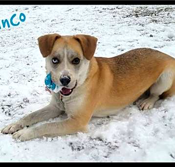 Photo of Cinco