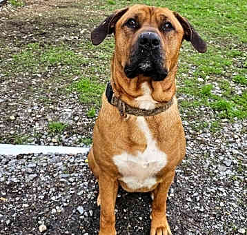 Photo of Zeus