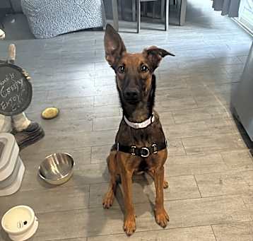 Photo of Xena