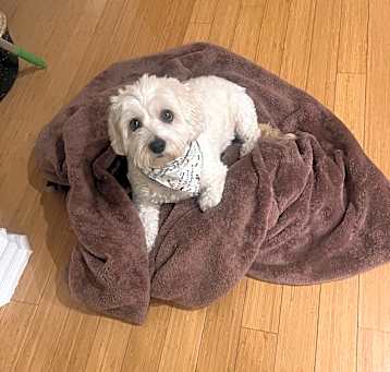 Photo of Chloe